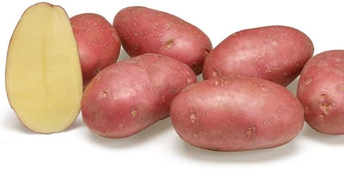 pomme de terre alouette
