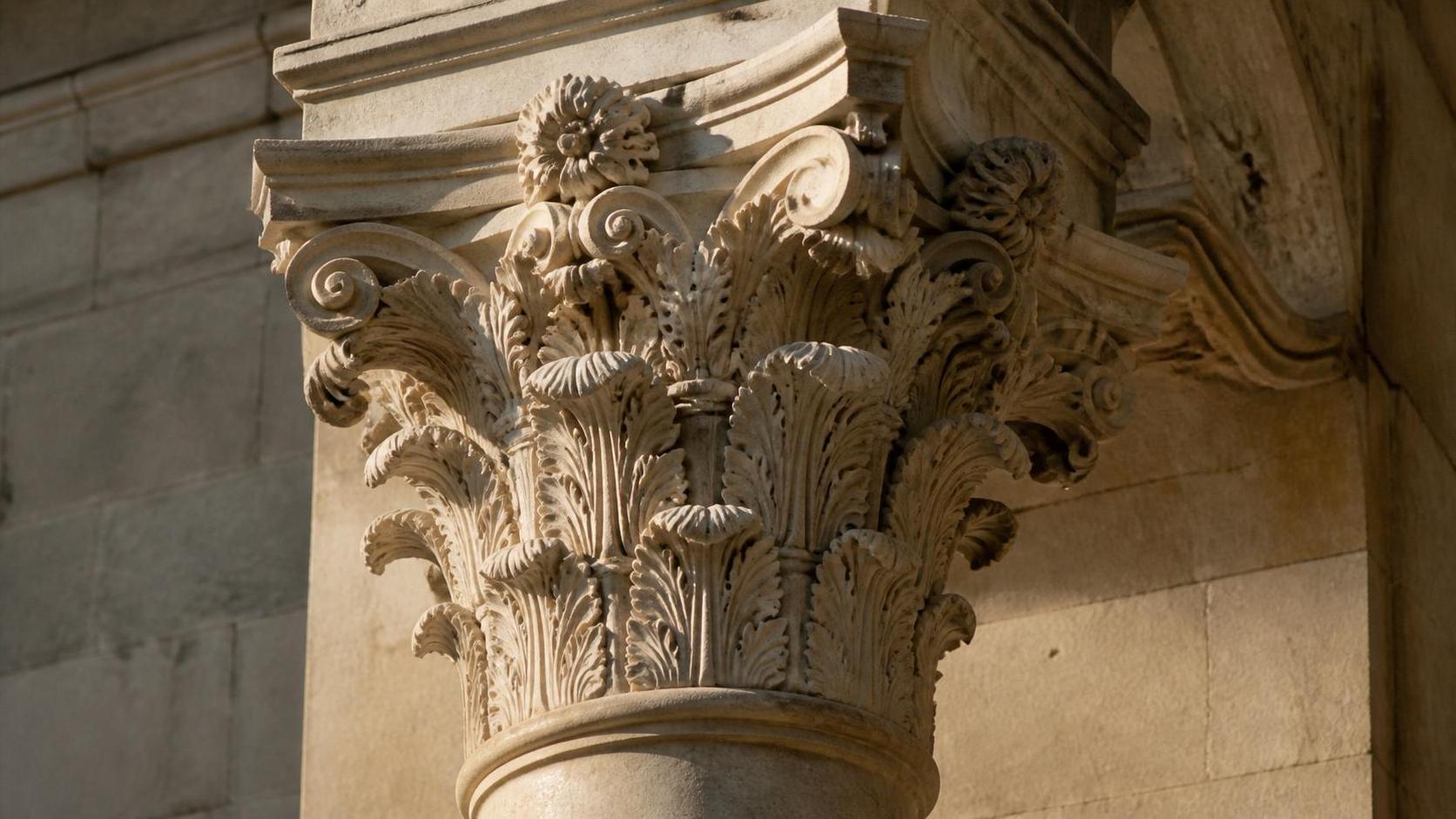 découvrez la signification symbolique de l’acanthus, une plante aux feuilles ornementales riches en histoire et en valeurs culturelles.