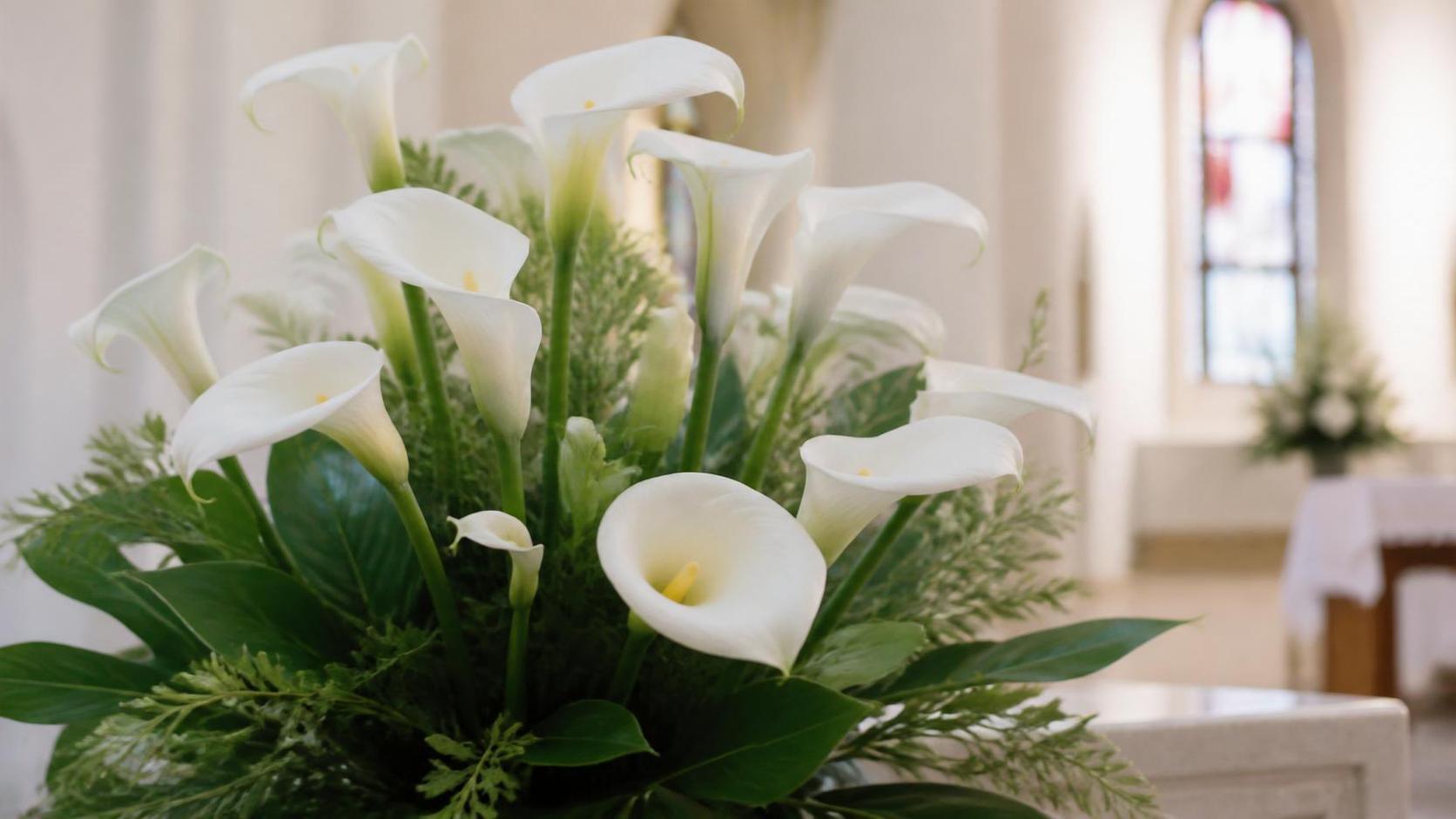 découvrez la signification du calla, une fleur élégante symbolisant la pureté, la beauté et l'amour. apprenez à mieux connaître ses messages et son histoire.