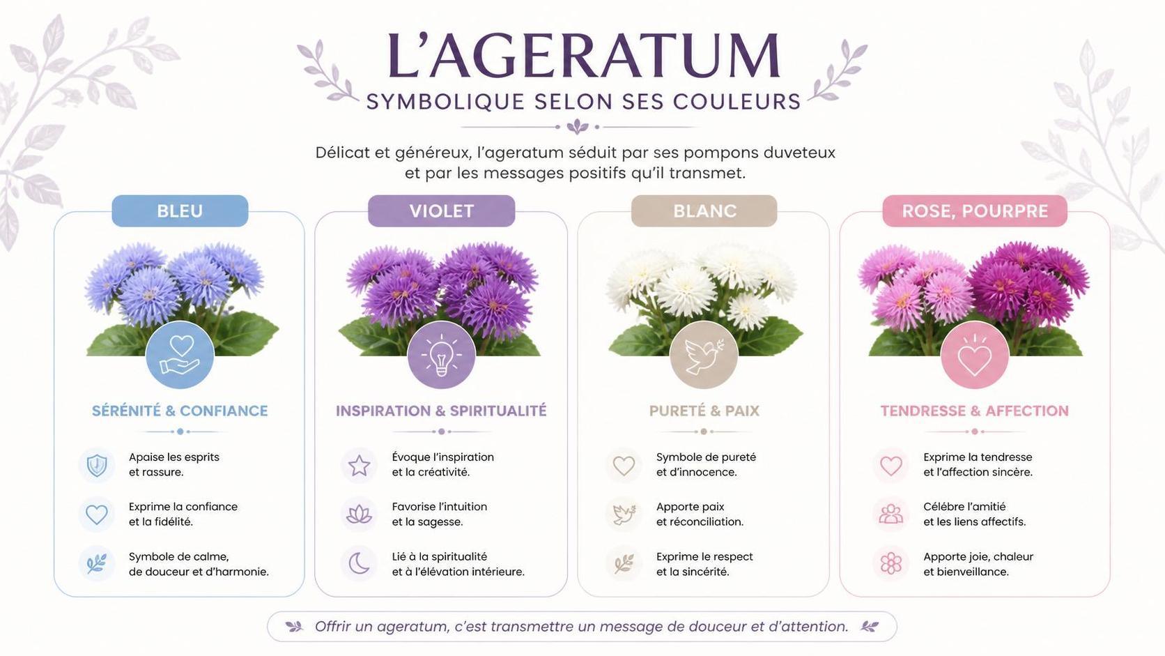 découvrez la signification et la symbolique de l’ageratum, une fleur aux couleurs éclatantes qui évoque douceur, souvenir et éternité.