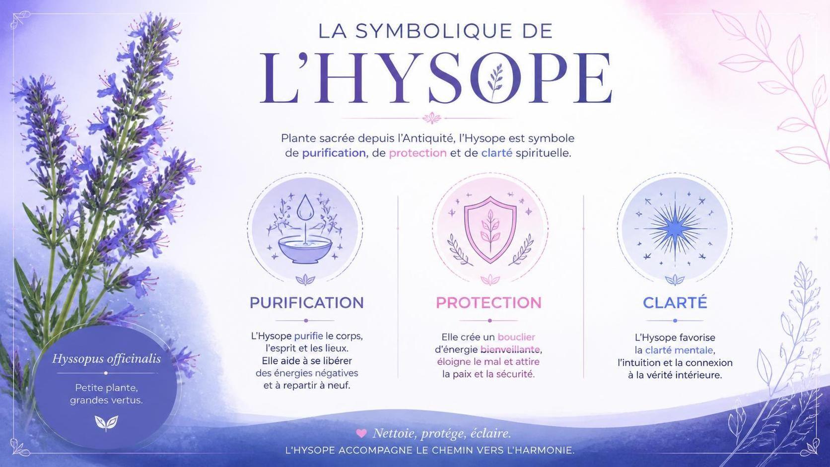 dĂ©couvrez la signification spirituelle de lâhysope, une plante aux symboles puissants dans les traditions religieuses et Ă©sotĂ©riques, et son rĂŽle dans la purification et la protection.