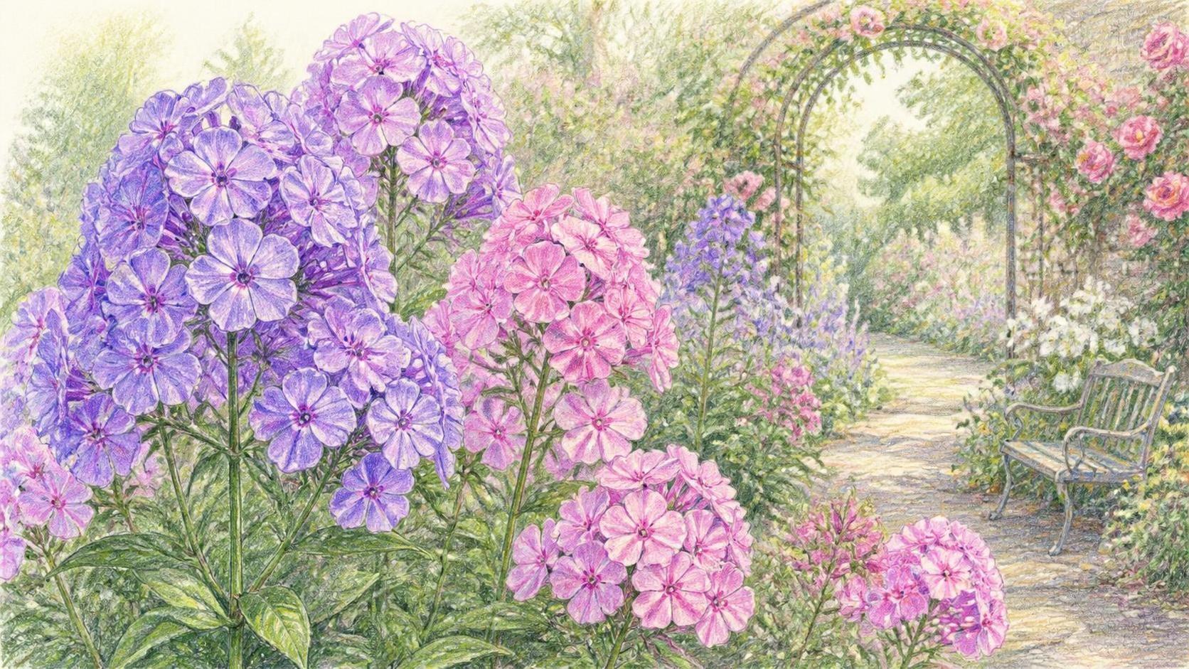 découvrez la symbolique du phlox, une fleur riche en significations et émotions, souvent associée à la douceur, l'harmonie et l'amour.