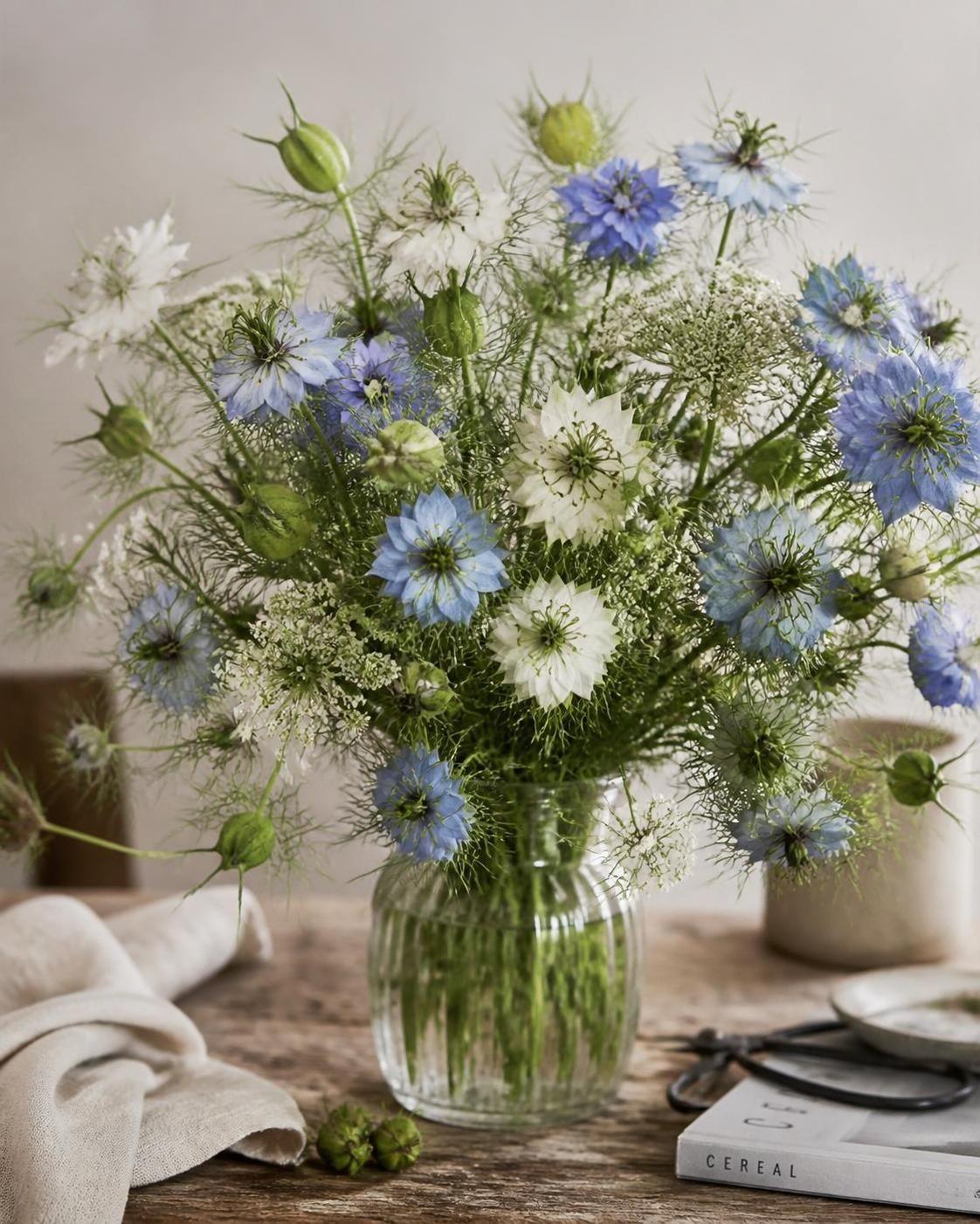 découvrez la symbolique spirituelle de la nigelle, ses significations profondes et son importance dans les traditions spirituelles à travers le temps.